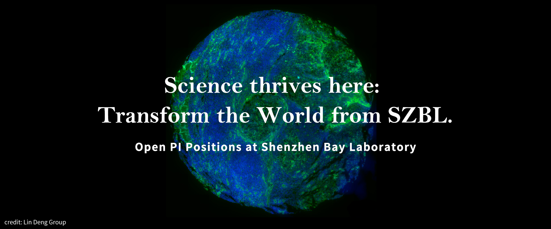 Open PI Positions at Shenzhen Bay Laboratory