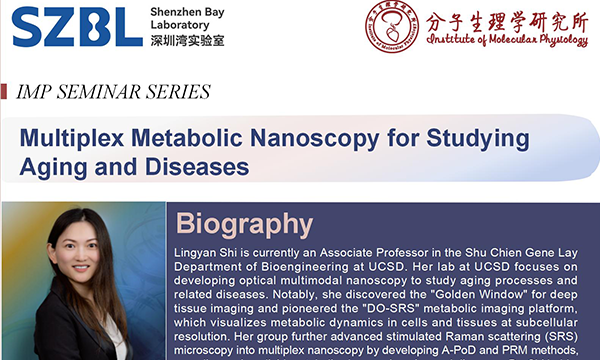 Multiplex Metabolic Nanoscopy for Studying Aging and Diseases