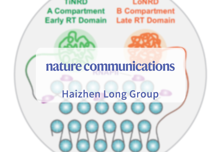 Nucleosome wrapping states encode principles of 3D genome organization