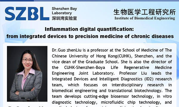 Inflammation digital quantification: from integrated devices to precision medicine of chronic diseases